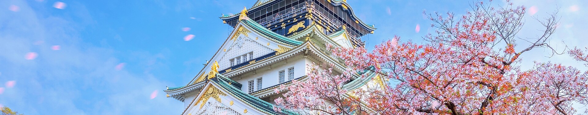 Osaka, Kyoto, Tokyo, Phuket und Phi Phi